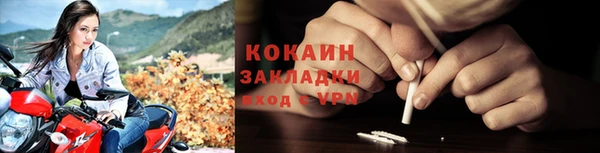 ГАЛЛЮЦИНОГЕННЫЕ ГРИБЫ Аркадак